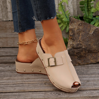 Nina Platform Slides