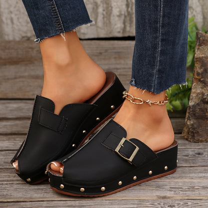 Nina Platform Slides