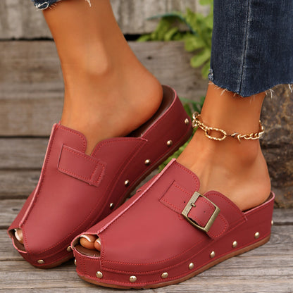 Nina Platform Slides